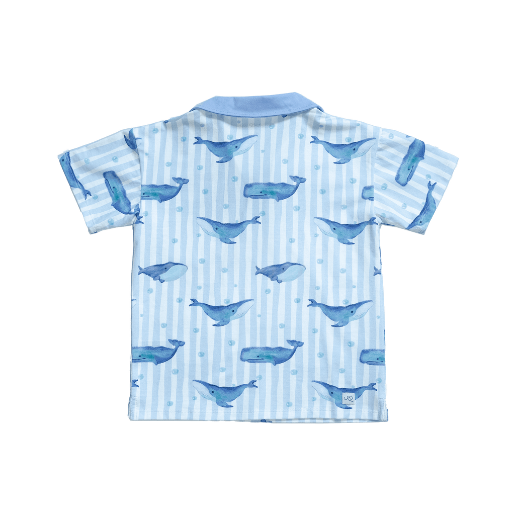 Anise & Ava exclusive hand drawn Whales print, eco friendly printed on luxury stretch cotton into our new point collar polo shirt. Designed and made to match siblings styles in Cleo baby shorts romper. Dress your family in this fun Summer exclusive print made for all boys & girls. Best for beaches and oceanside. 
