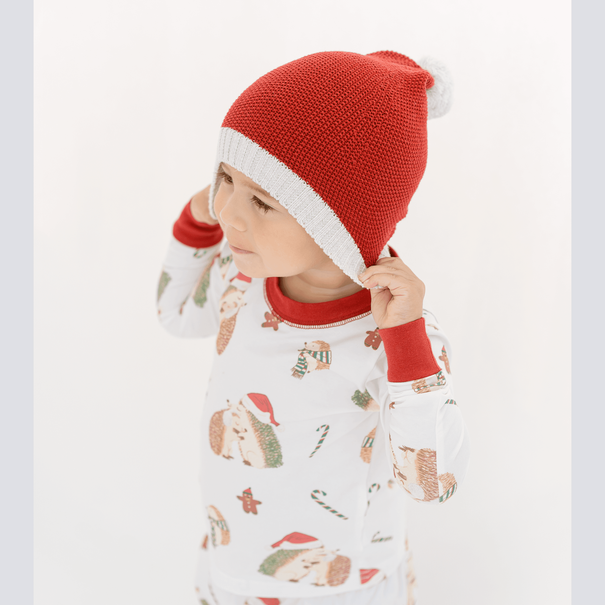 Anise & Ava gender neutral exclsive hand drawn Holiday Hedgehogs, eco friendly printed onto our softest cotton. Made to match siblings' baby pajamas.  