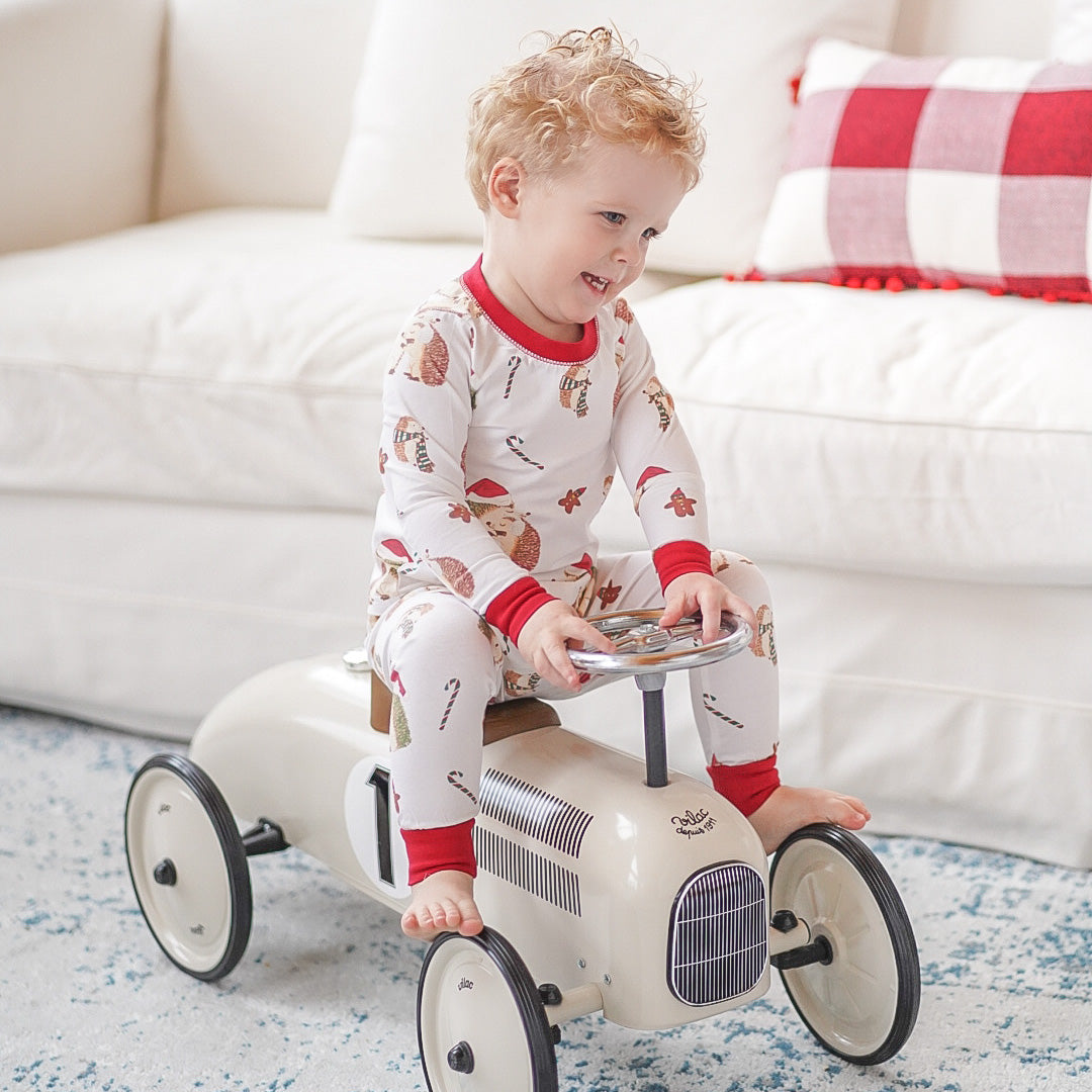 Anise & Ava gender neutral exclsive hand drawn Holiday Hedgehogs, eco friendly printed onto our softest cotton. Made to match siblings' baby pajamas.  